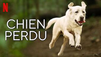 Chien perdu (2023)